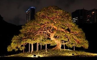 夜間特別開園ー「小石川後楽園 深山光葉を楽しむ」 開催　令和8年11月13日（金）～24日（火）