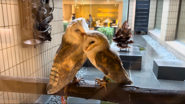 名前はふくろう小屋に掲示します
