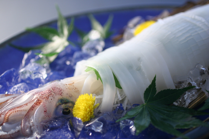 白イカの姿造り　京丹後イカ 漁火－ISARIBI－