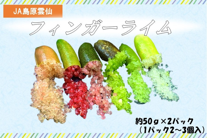 フィンガーライム(20袋入を2箱)