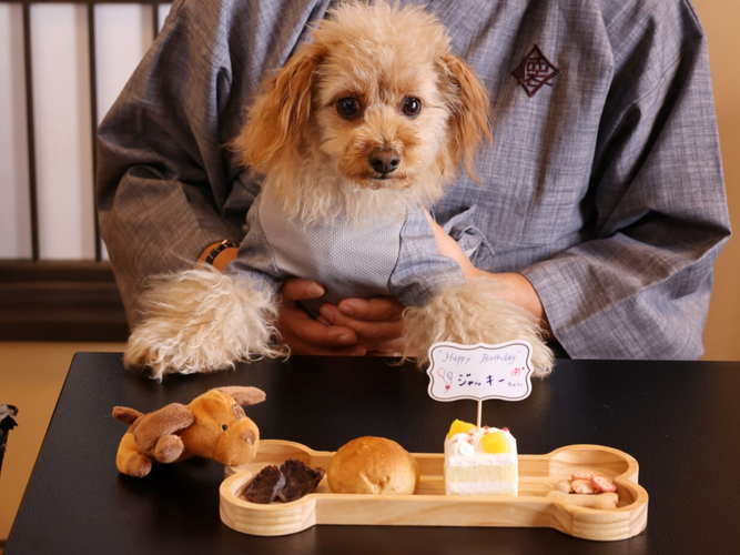 愛犬が主役の記念日プラン2