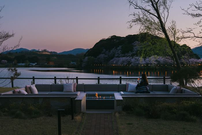 夜にはライトアップもされ、幻想的な雰囲気に