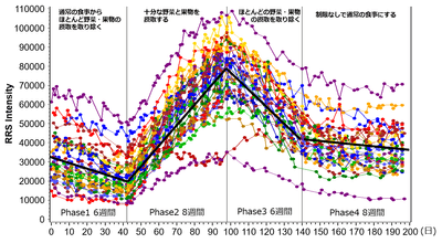 ベジメータ　イメージ