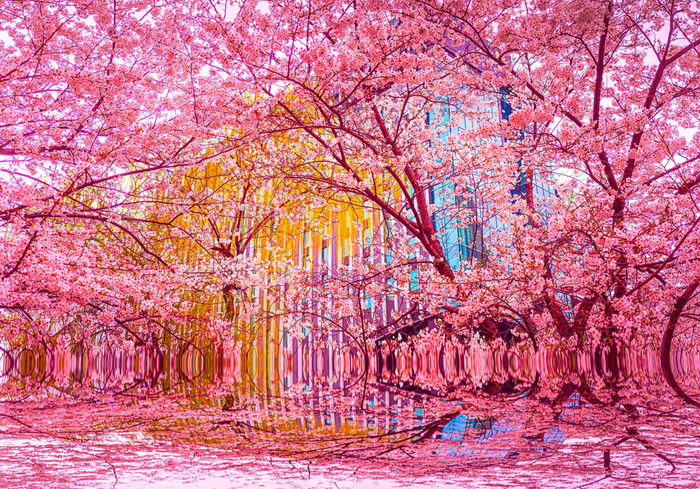 「JAPAN SHOT 140」2024-04-04 15:48:37　東京・銀座 1620mm&times;1120mm P100 キャンバス