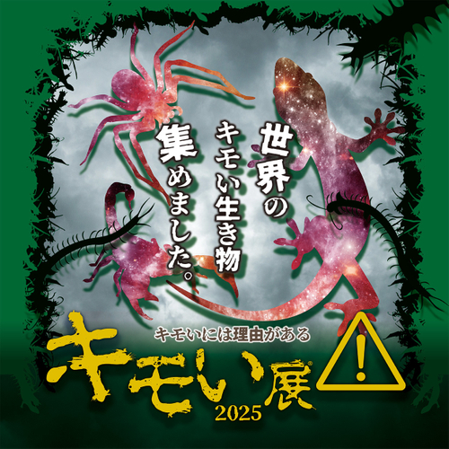 メインビジュアル