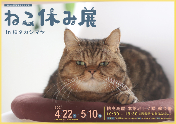 キービジュアル(横)