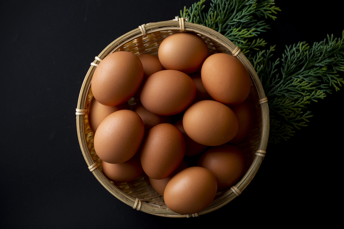 大寒卵とは ※イメージ