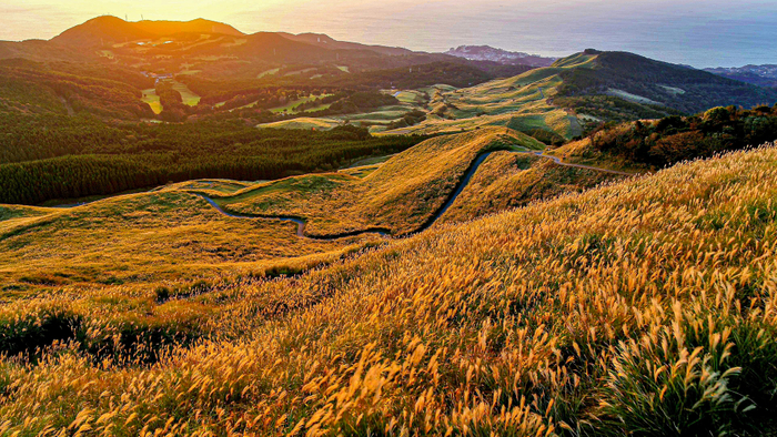すすきの原（約125㌶）