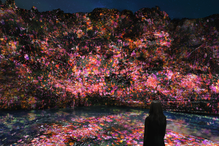 『チームラボ 養老渓谷』養老渓谷, 千葉 &copy;︎ チームラボ, Made with CG