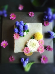 栗と抹茶の浮島に、あんクリームで秋の草花を表現　 新ブランド「季花」、ケーキ「花暦〈秋〉」を9月14日発売