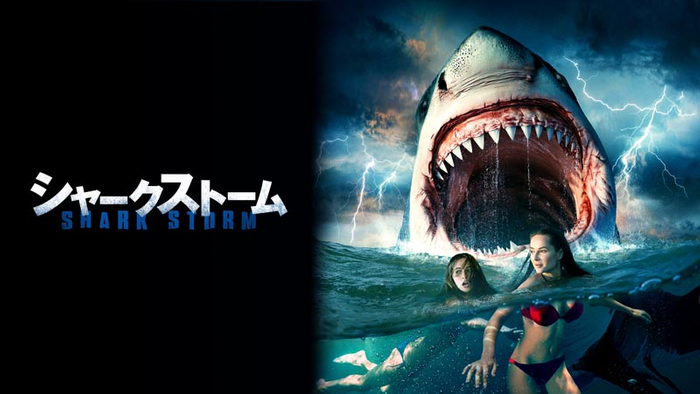  &copy; 2021 Acme Holding Company, LLC. All Rights Reserved.