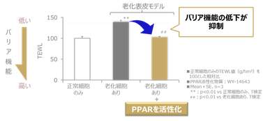 図3 PPARの活性化により肌のバリア機能低下が抑制される