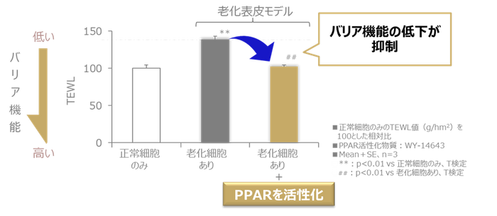図3 PPARの活性化により肌のバリア機能低下が抑制される