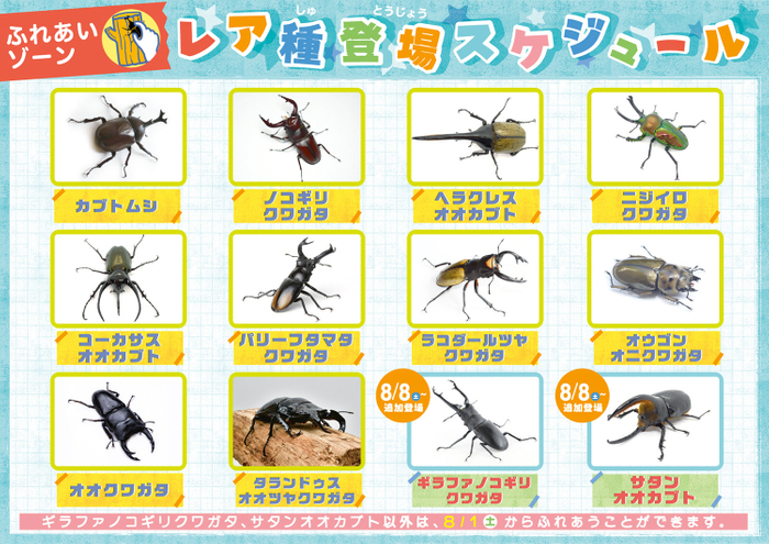 世界のレア昆虫が大集結！