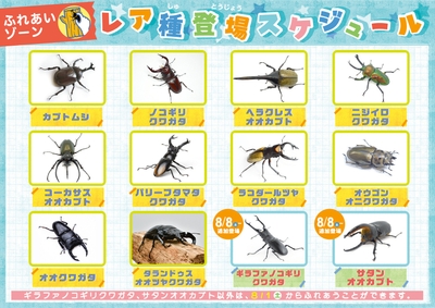 世界のレア昆虫が大集結!