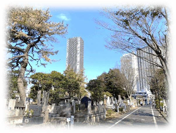 雑司ケ谷霊園