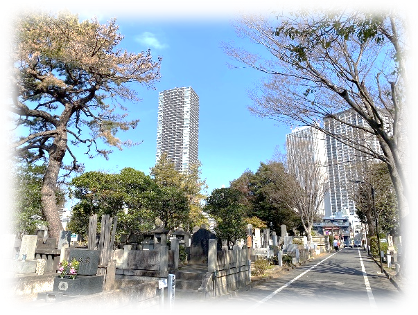 雑司ケ谷霊園