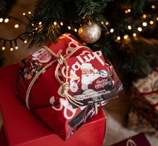 クリスマス伝統菓子パネットーネ　包装