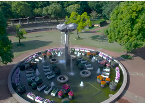 モニュメント噴水水中花壇（昨年の様子）