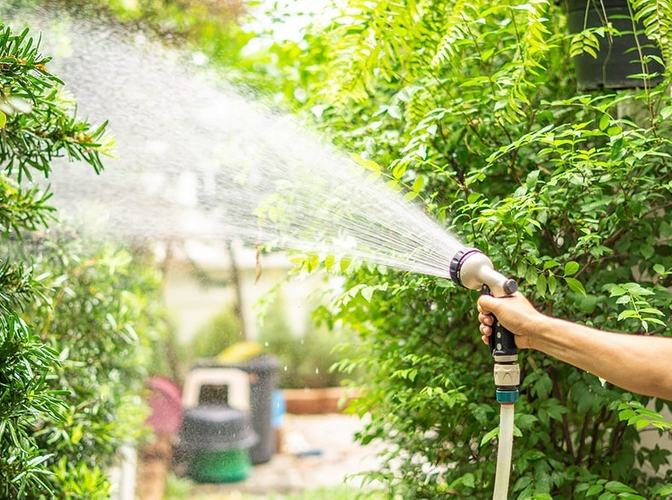 緑に水をやり涼しげなイメージ