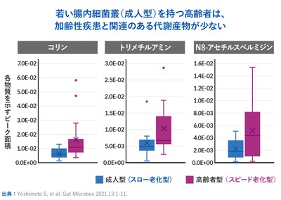 イラスト5