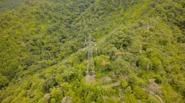 ＜送電線を無人巡視するSkydio X10が撮影した画像