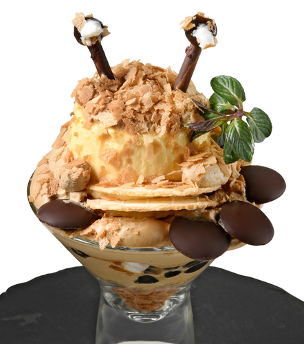 【日本橋せいとう】カネゴンプリン