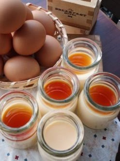 とろける黄金比カスタードプリン【宿泊者：200円 / 外来：400円】