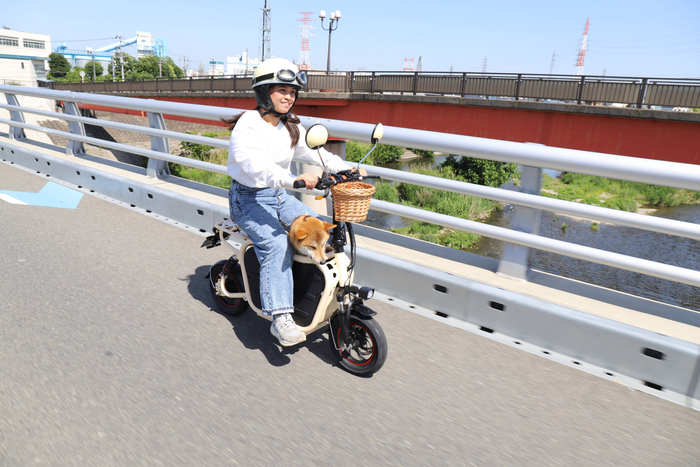 愛犬とお出かけ3