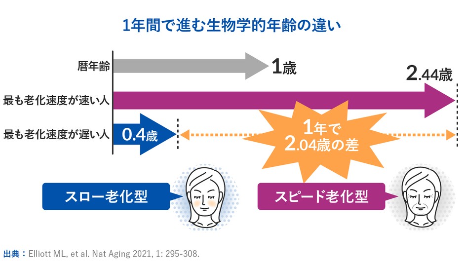 イラスト2