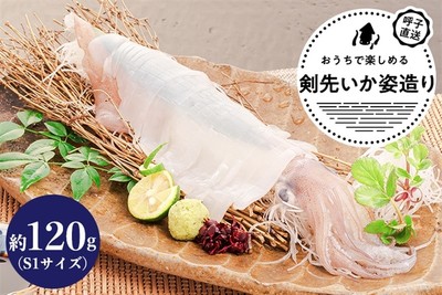 CAS凍結 呼子剣先いか姿造り