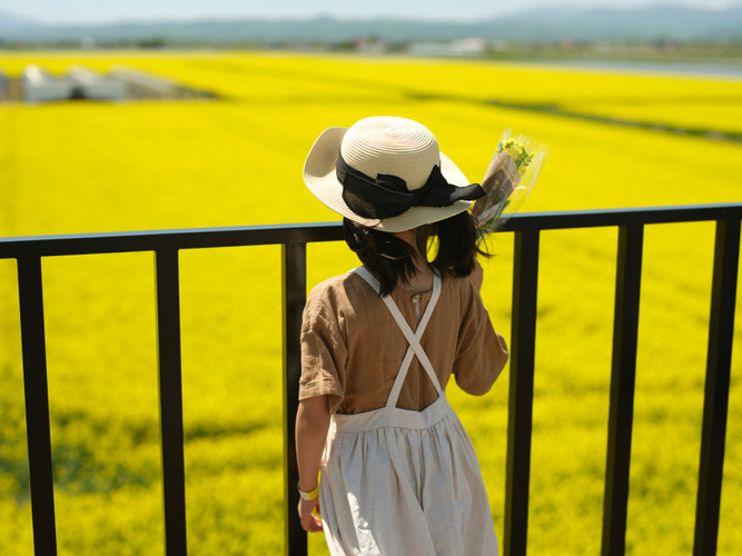 店舗の屋上には展望台を設けており、菜の花畑を一望できます。