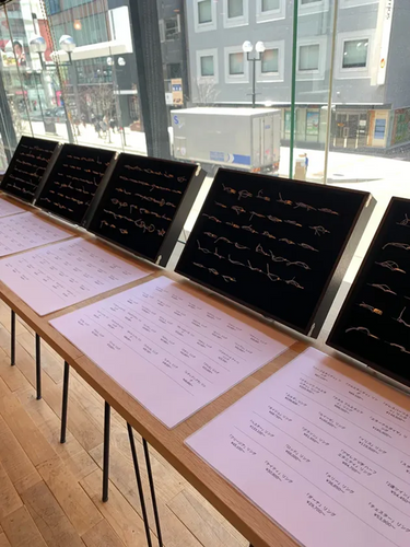 札幌会場の展示