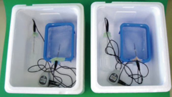 左：通常原料使用　右：再生発泡スチロール原料使用