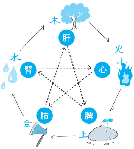 漢方における「五行」と「五臓」の関係性