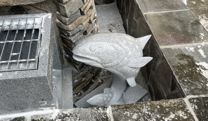 大王イワナ
