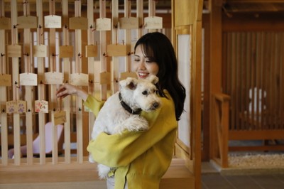 お守りやおみくじ、愛犬の肉球スタンプが押せる絵馬など＜和のおもてなし体験＞