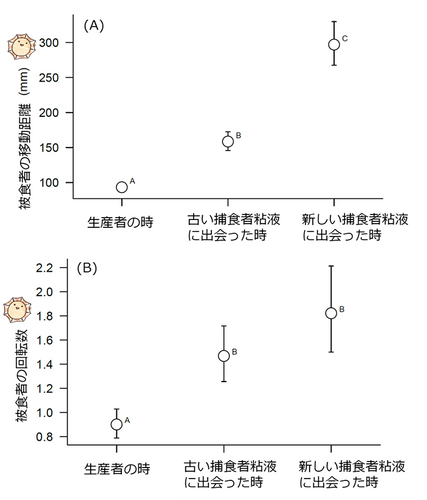 図3. 被食者笠貝が粘液生産者である場合と、捕食者巻貝の粘液（実験1では古い粘液、実験2では新しい粘液）に遭遇した場合の反応　（A）は総移動距離、（B）は回転数の結果を示す。各図に付されたアルファベットが異なる場合、統計的に有意な差があることを示す。