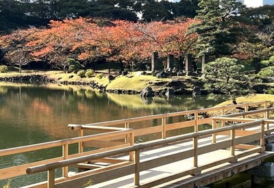 紅葉が見ごろを迎えた園内（過去の様子）