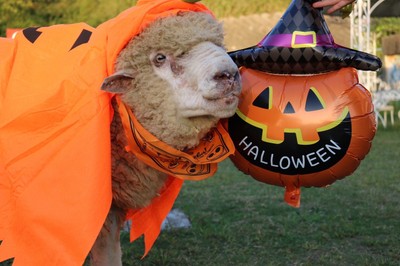 ハロウィンの可愛い仮装でお待ちしてます！