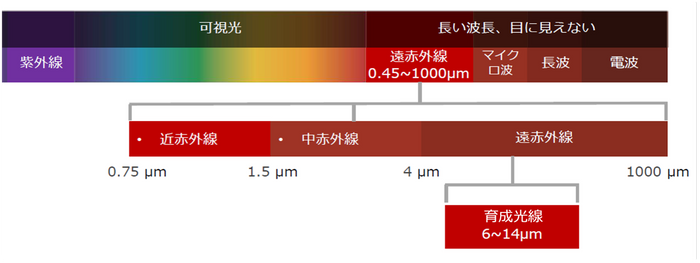 図１：光線の波長