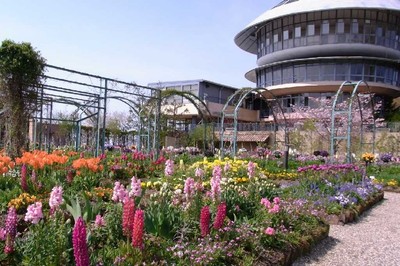 ② 花の庭