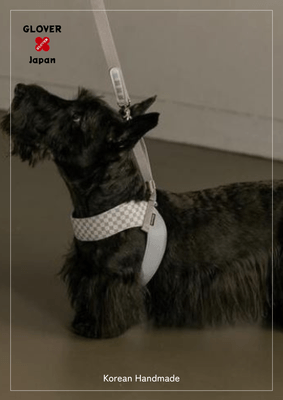 ハーネス中型犬着用