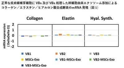 抗ウイルス・抗菌の『VB』＆幹細胞由来エクソソームの新境地　 VBの主成分による皮膚に対する抗老化作用とそのメカニズムを解明