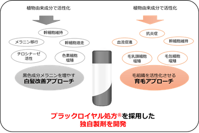 図2：2つのアプローチを合わせた独自製剤を開発