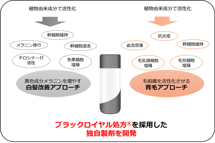 図2：2つのアプローチを合わせた独自製剤を開発