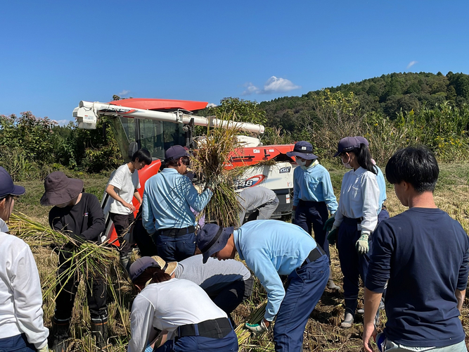 【自社生産の米】