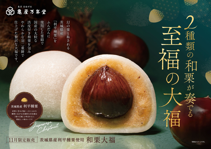 東急線ドア横ポスター