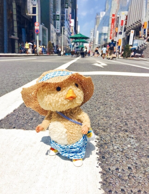 東京トガリ