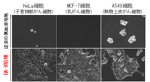 左図：従来の無血清培地、DA-X培地においての各臓器・組織由来のがん細胞株の比較